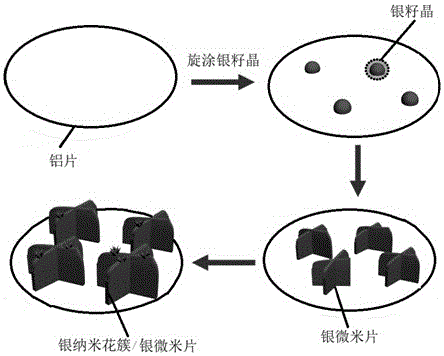 Preparation method and application of silver nano flower clusters/silver micro pieces of graded structures