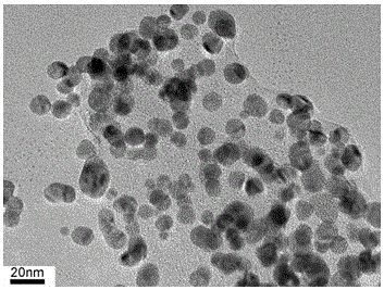 Preparation method and application of silver nano flower clusters/silver micro pieces of graded structures