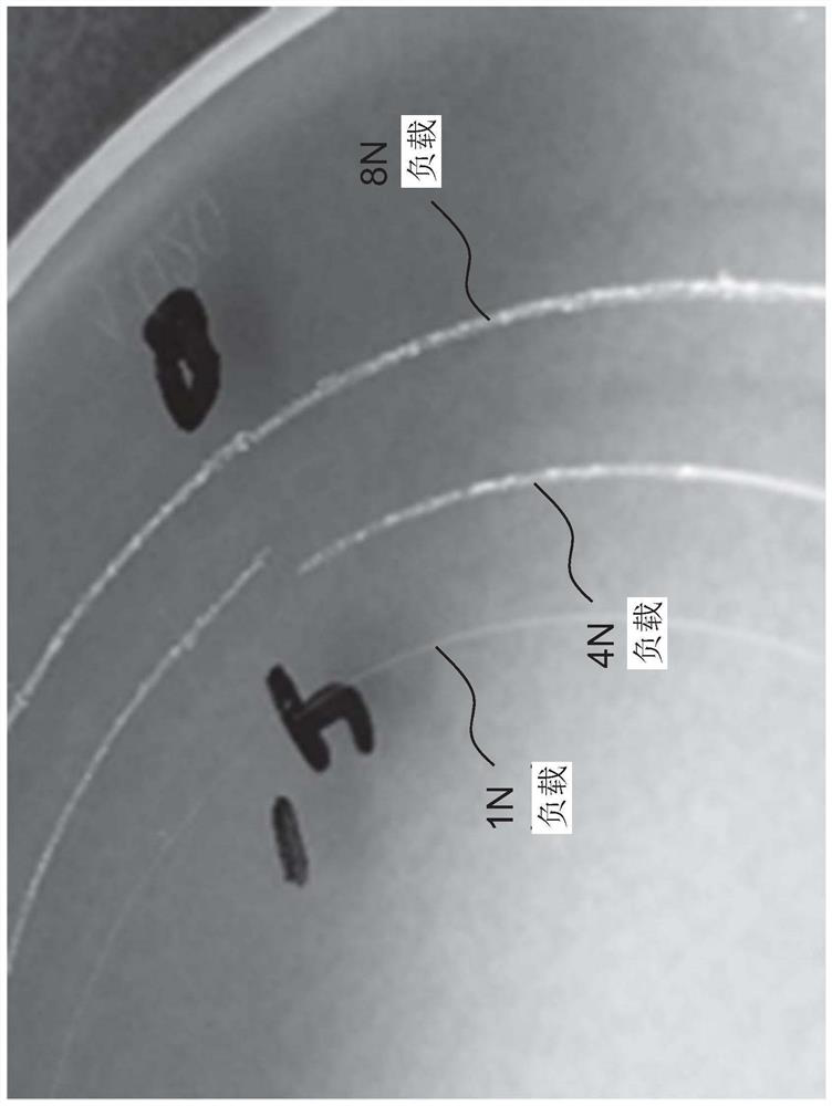 Scratch resistant pmma and polycarbonate-siloxane copolymer compositions