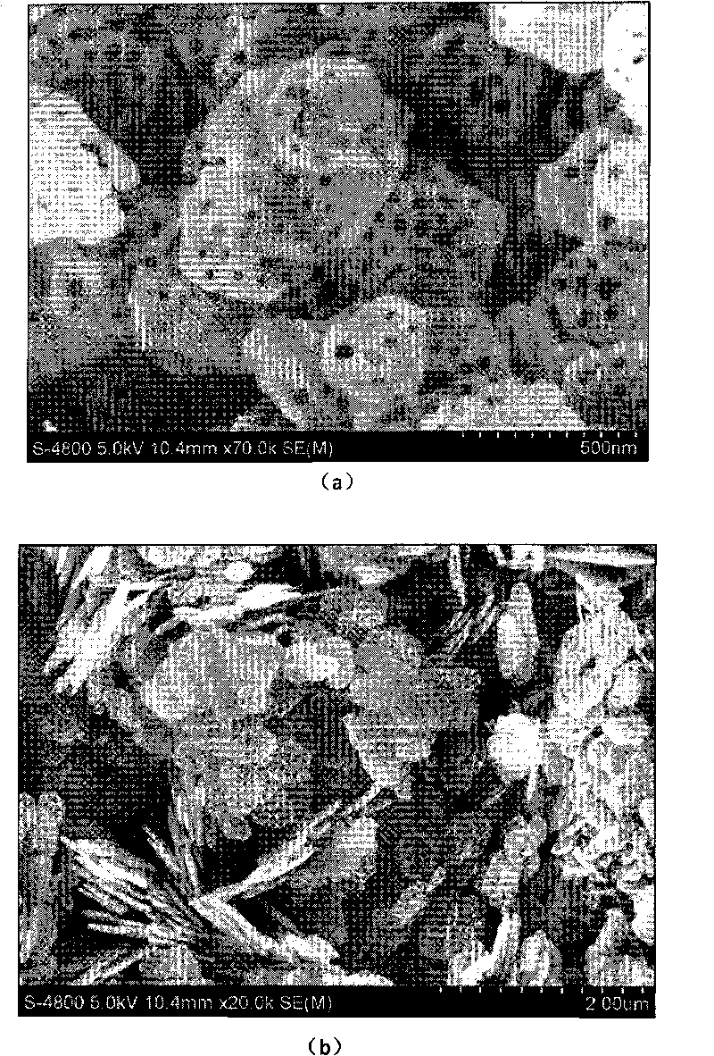 Preparation method of nickel oxide nano flake with uniform and mesoporous structure