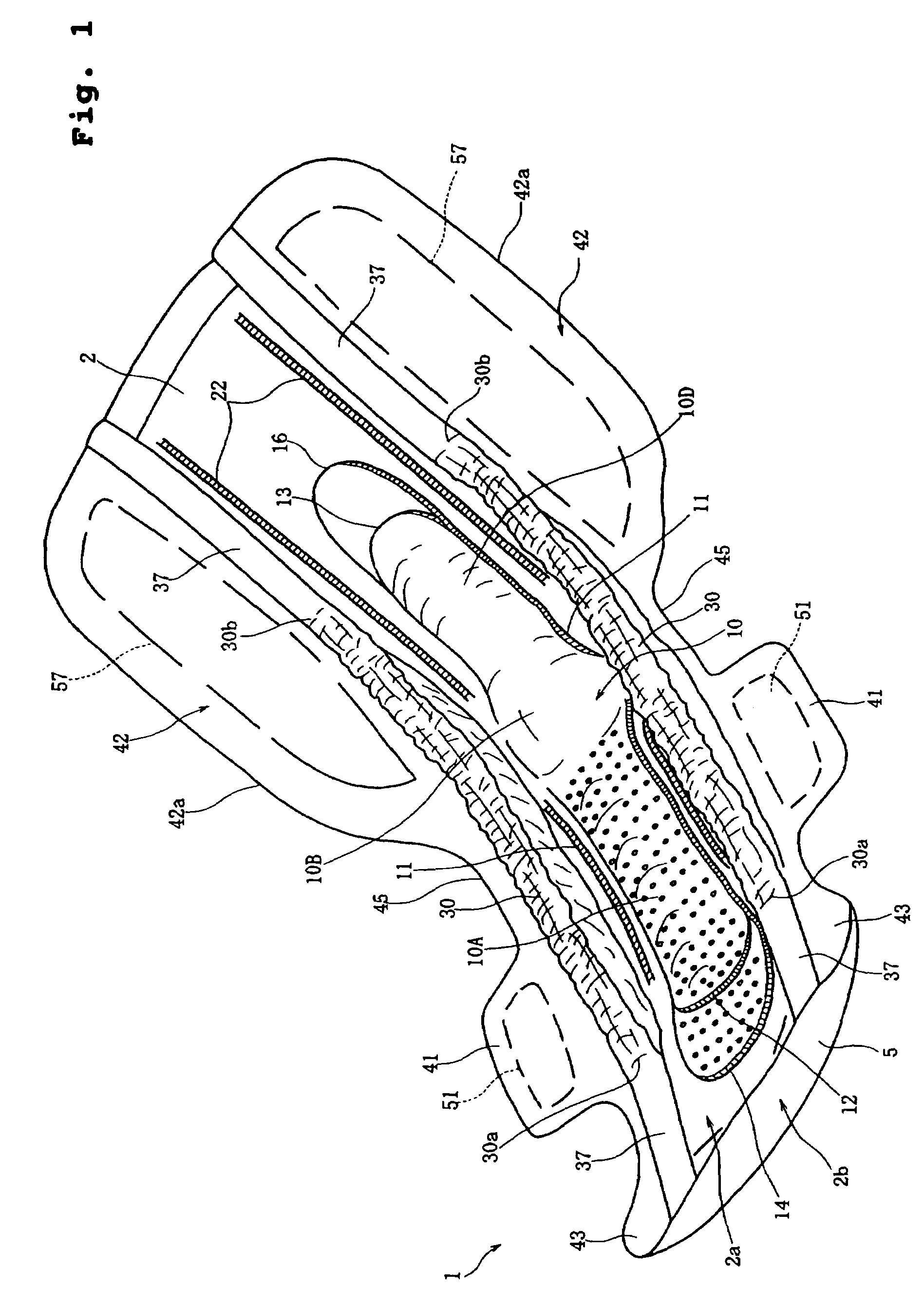 Sanitary napkin