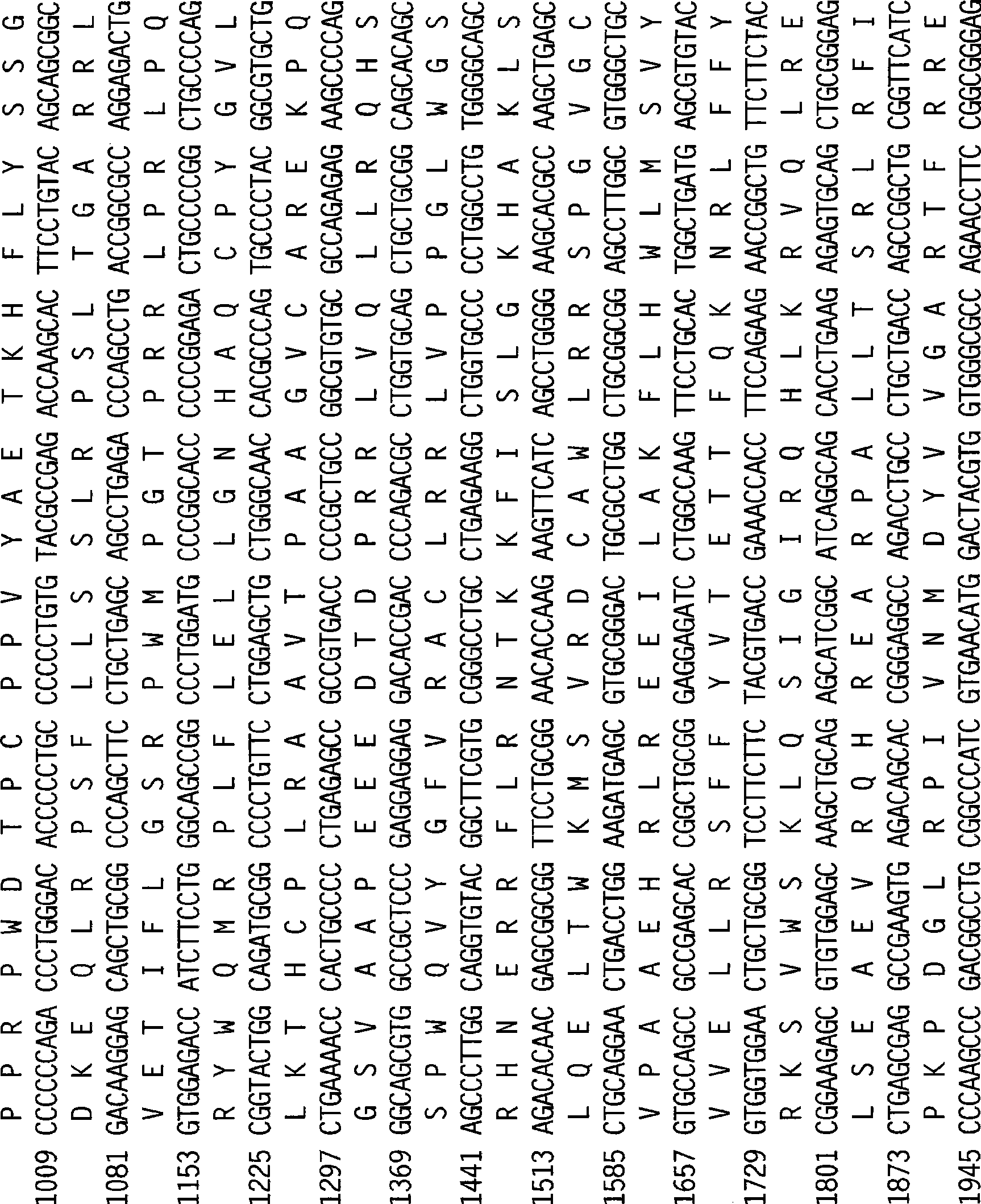 Telomerase reverse transcriptase fusion protein, nucleotides encoding it, and uses thereof