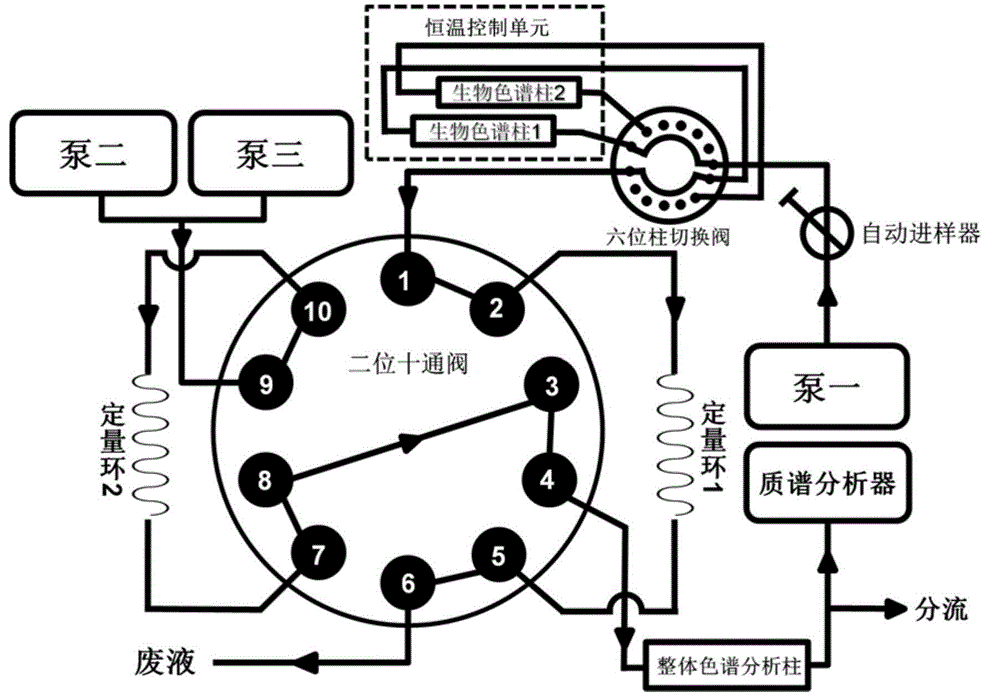 A kind of biological chromatographic comparative screening system and its application