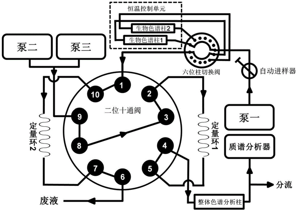 A kind of biological chromatographic comparative screening system and its application