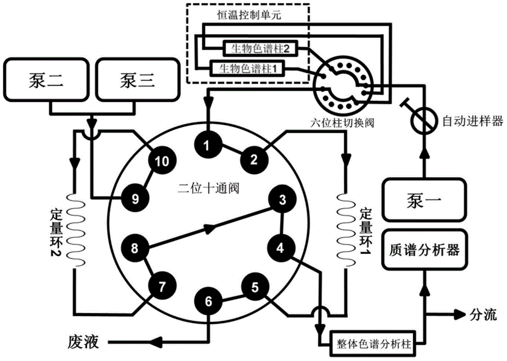 A kind of biological chromatographic comparative screening system and its application