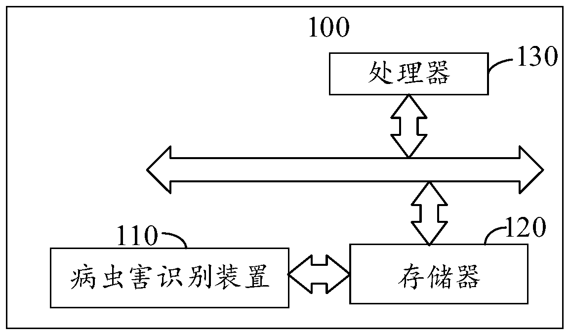 Disease and pest identification method and device