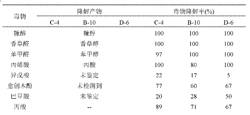 Novel pichia strain and method for mixing and culturing same to biologically detoxify hemicellulose hydrolysate