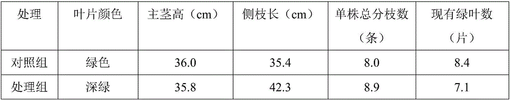 Preparation method of organic compound biological fertilizer special for peanuts