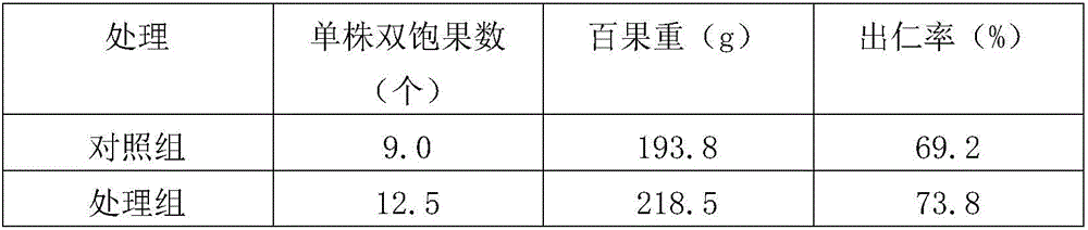 Preparation method of organic compound biological fertilizer special for peanuts