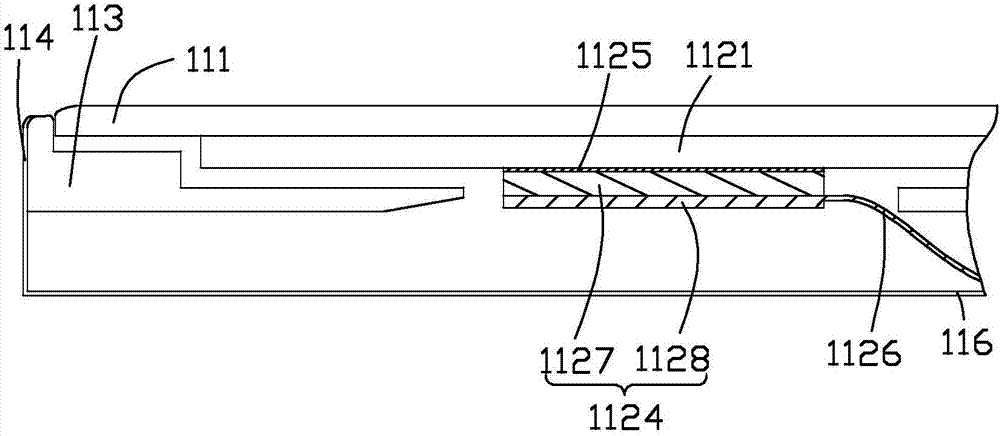 Display module and terminal