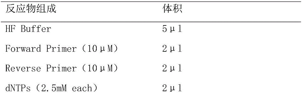 Taq Plus polymerase kit and usage method thereof