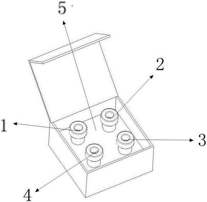 Taq Plus polymerase kit and usage method thereof