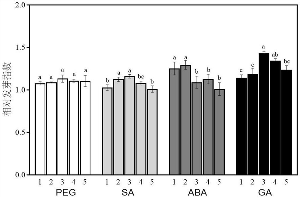 Seed initiator and method for improving sweet sorghum seed vigor and germination stage drought resistance