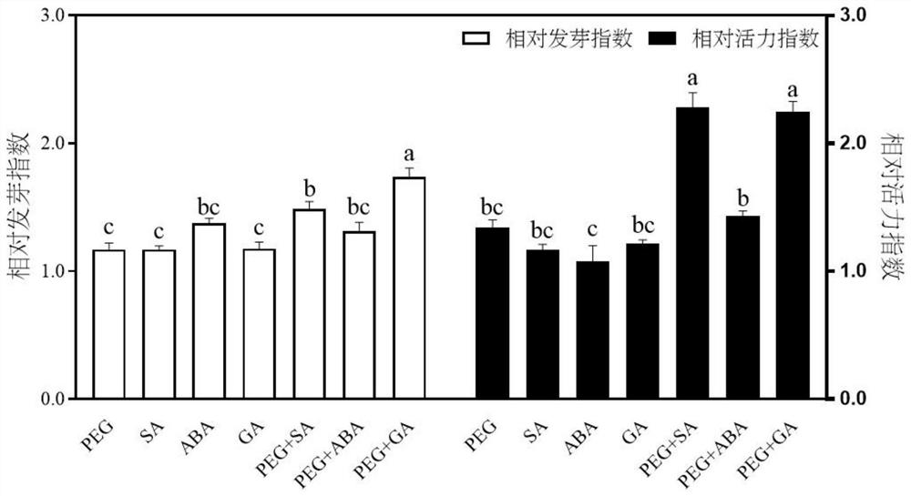 Seed initiator and method for improving sweet sorghum seed vigor and germination stage drought resistance