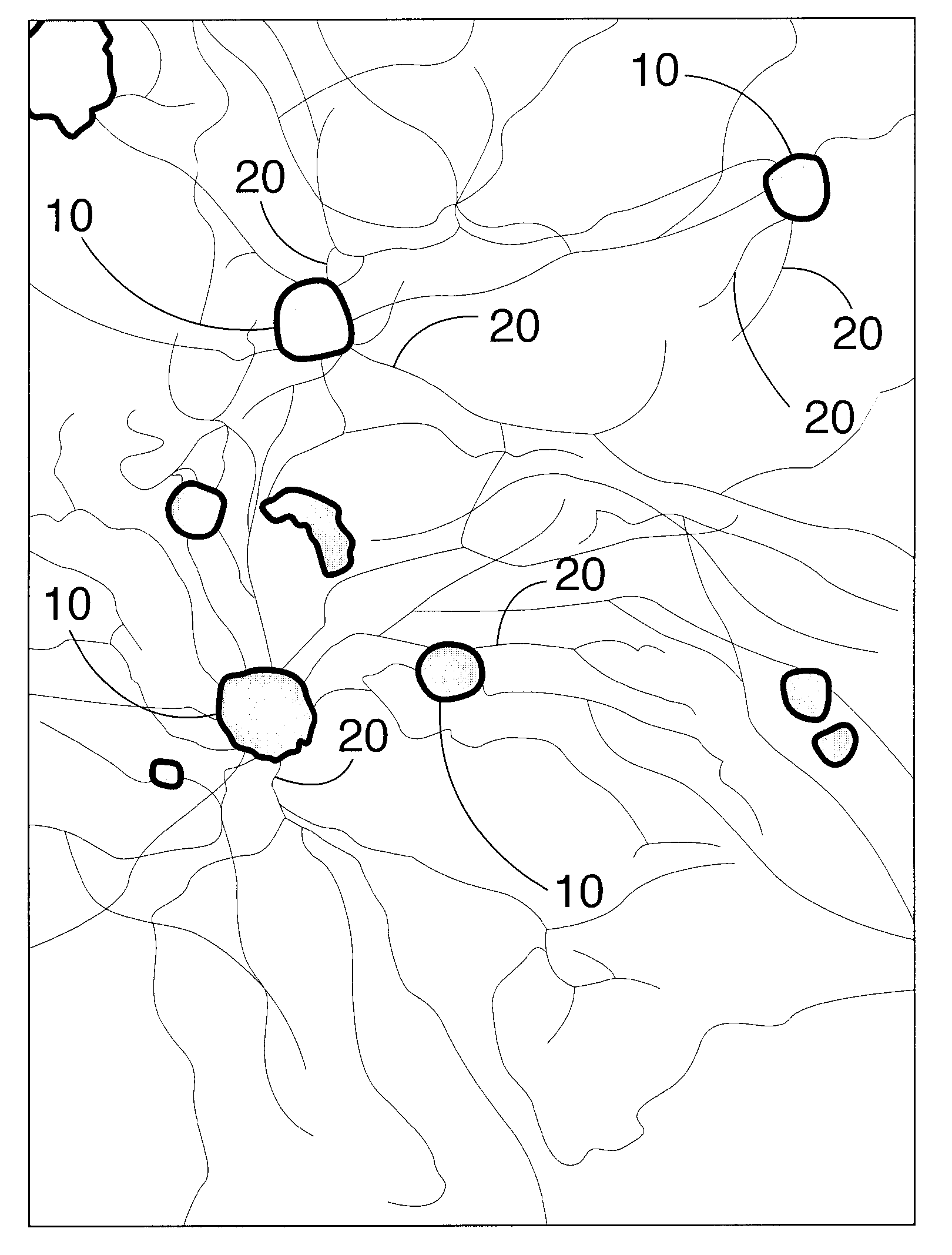 Axon regeneration from adult sensory neurons