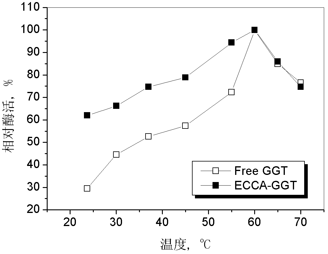 Immobilized enzyme using modified epoxy resin as carrier and preparation method and application thereof