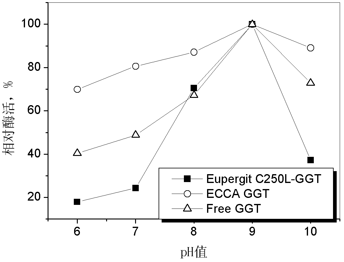 Immobilized enzyme using modified epoxy resin as carrier and preparation method and application thereof