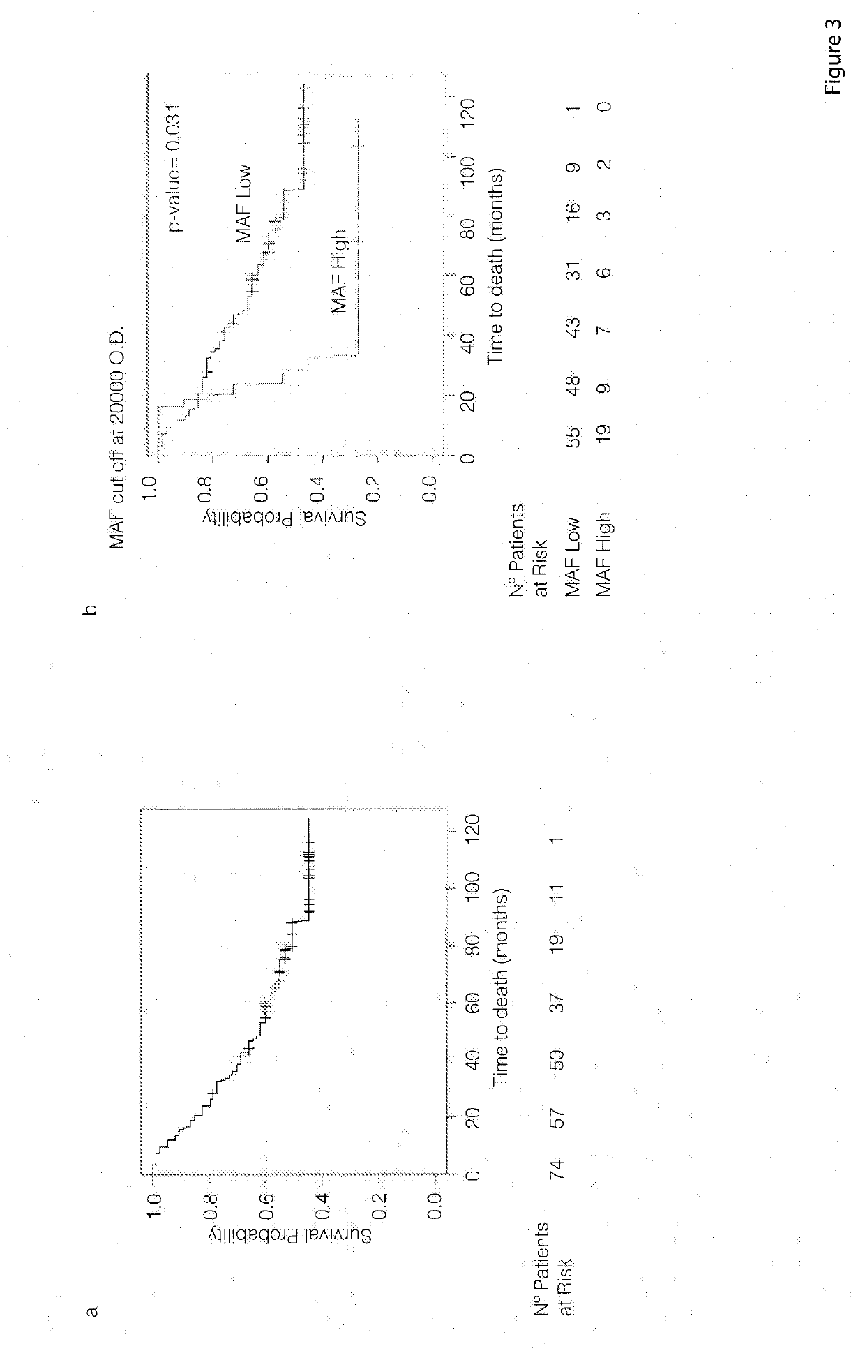 Method for the diagnosis, prognosis and treatment of lung cancer metastasis