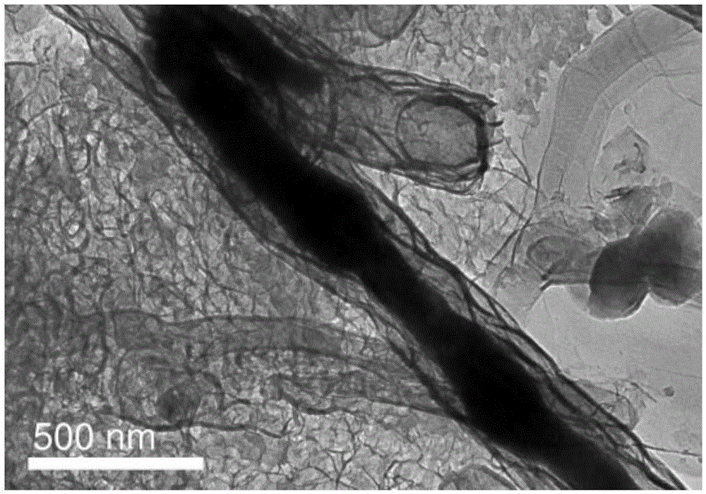 Method for preparing carbon nano tube by means of cobalt chloride catalyst