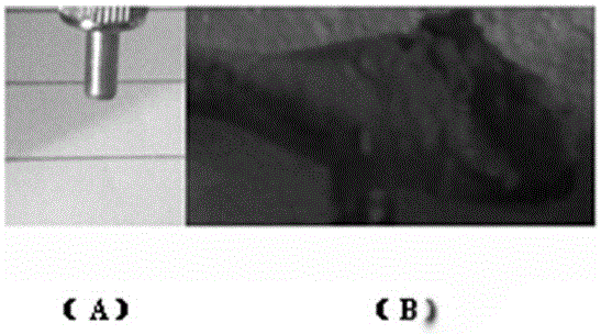 Preparation method and application of water-soluble rare earth fluorescent material cantilever marker pen