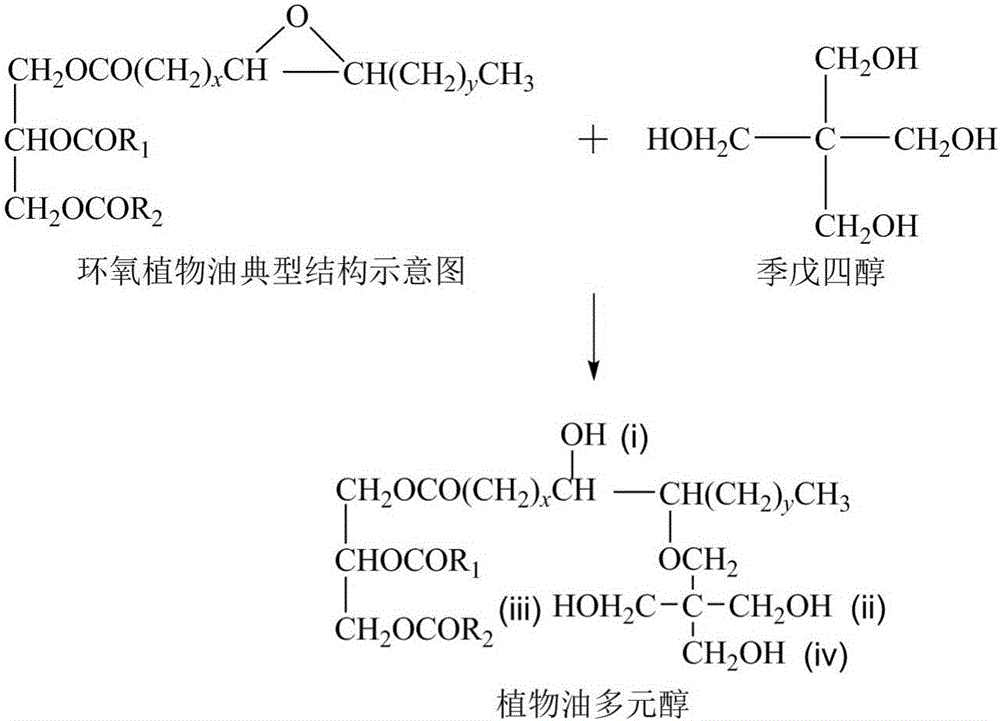 Vegetable oil polyols with high hydroxyl value as well as preparation method and application of vegetable oil polyols