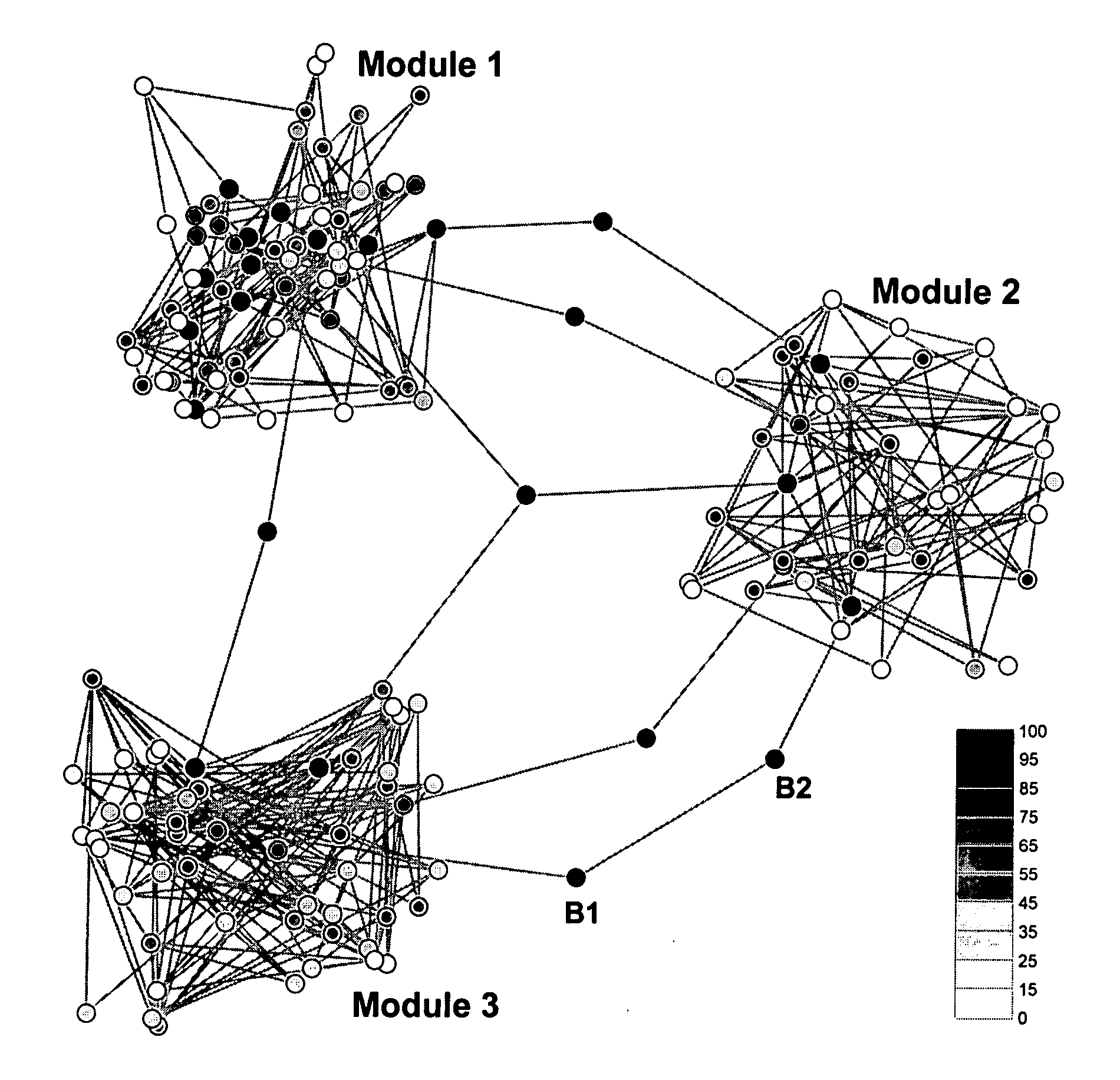 Bridging centrality: a concept and formula to identify bridging nodes in scale-free networks