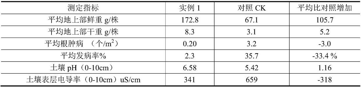 Multifunctional soil-modifying antifungal and anti-nematode-disease soil conditioner, preparation method thereof and use method thereof