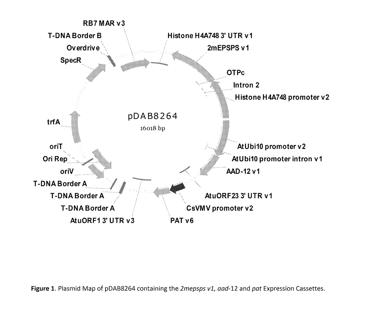 Stacked herbicide tolerance event 8264.44.06.1, related transgenic soybean lines, and detection thereof