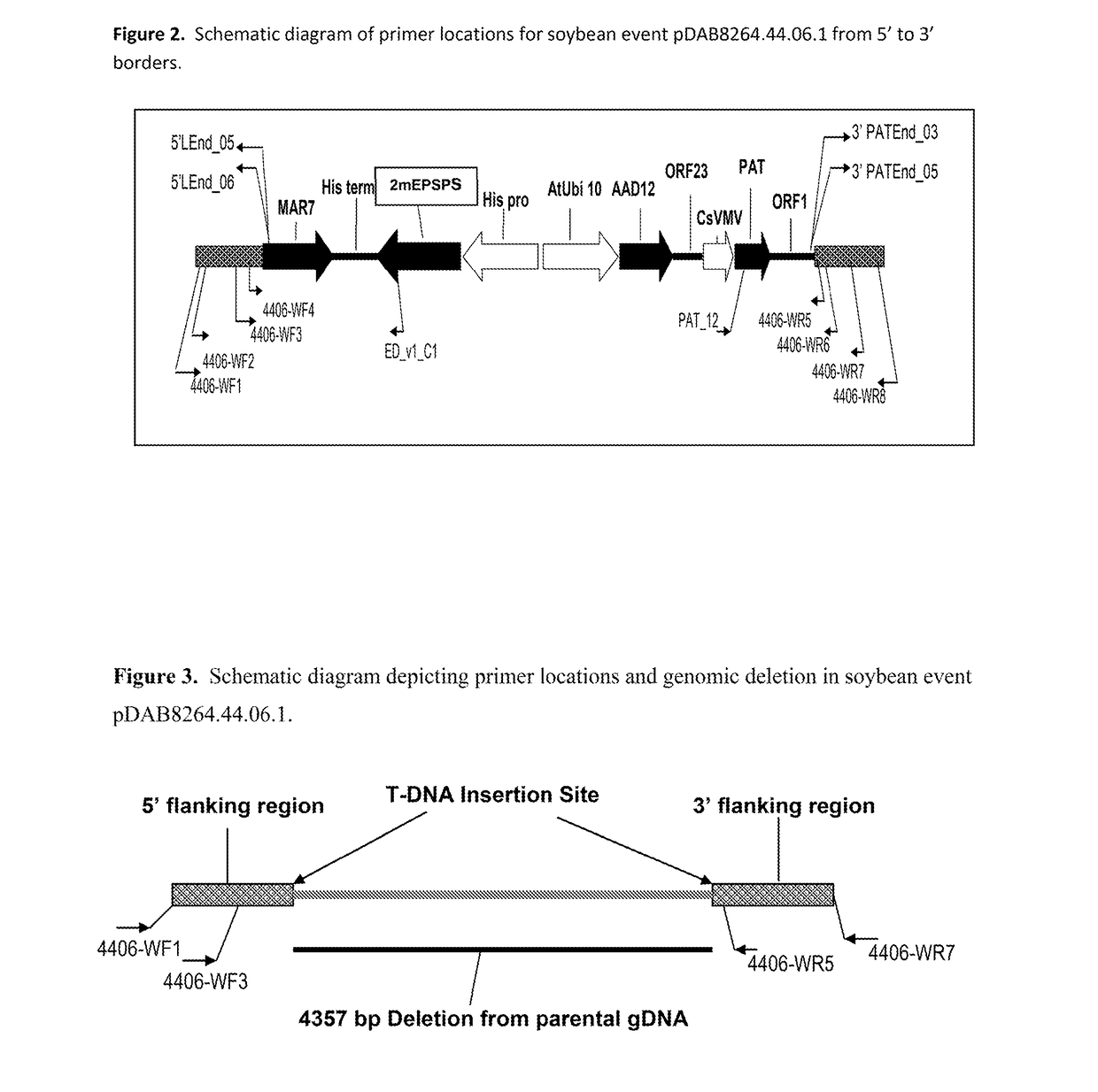 Stacked herbicide tolerance event 8264.44.06.1, related transgenic soybean lines, and detection thereof