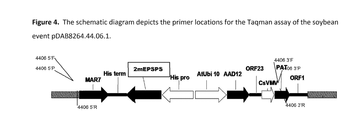 Stacked herbicide tolerance event 8264.44.06.1, related transgenic soybean lines, and detection thereof