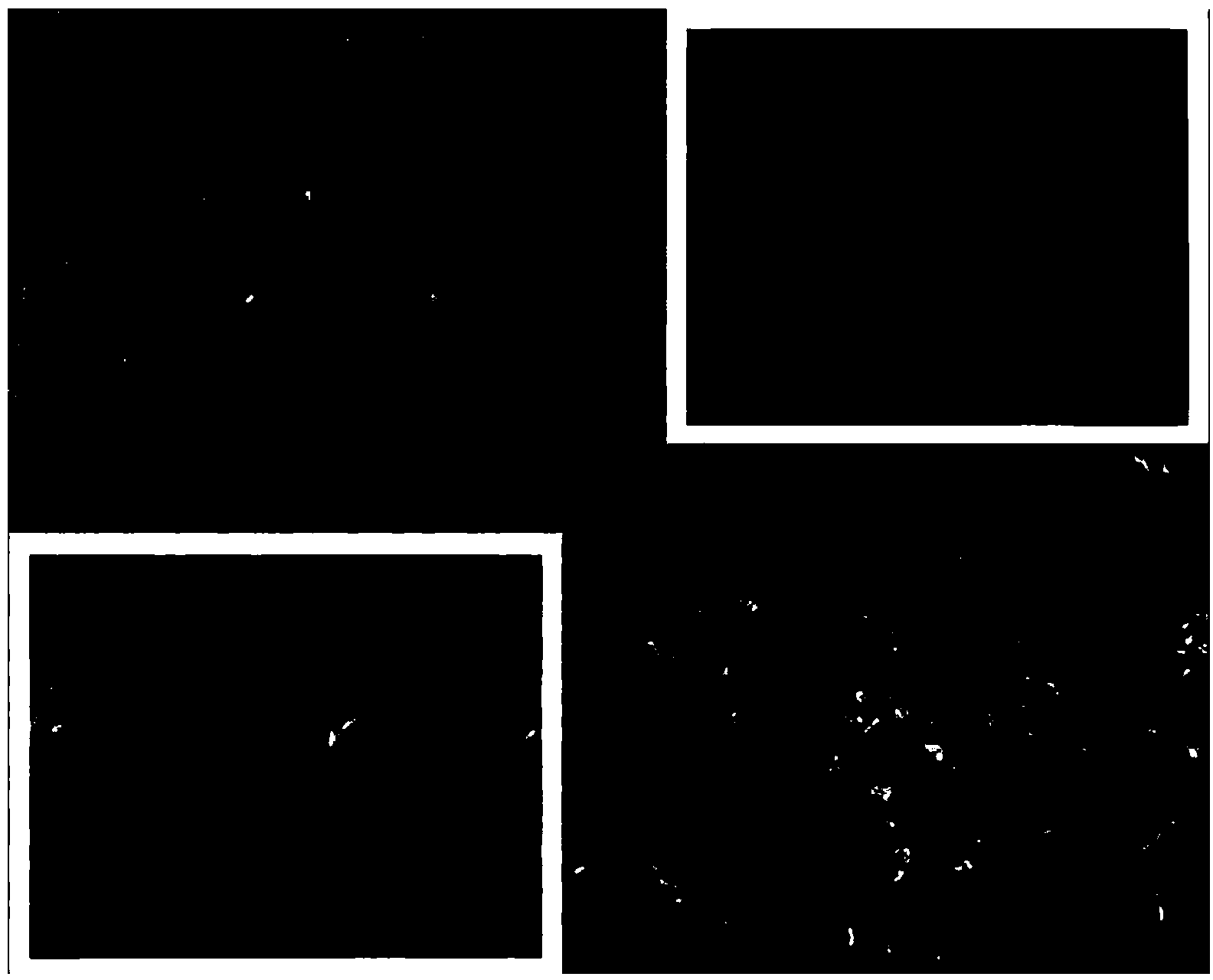 Production method and application of cobaltous oxide/carbon nanostructure array