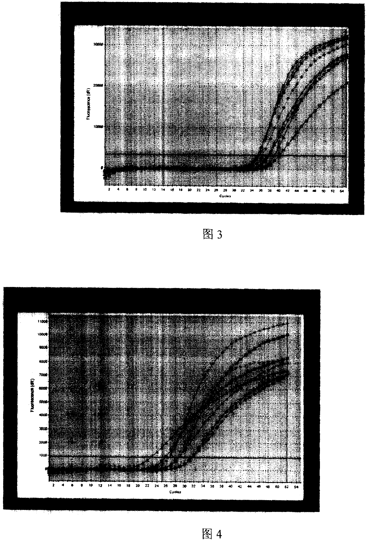 Process for extracting free mRNA from pleural fluid and ascitic fluid