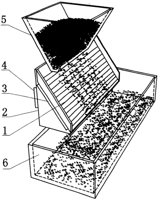 Cultivation method of common head cabbage