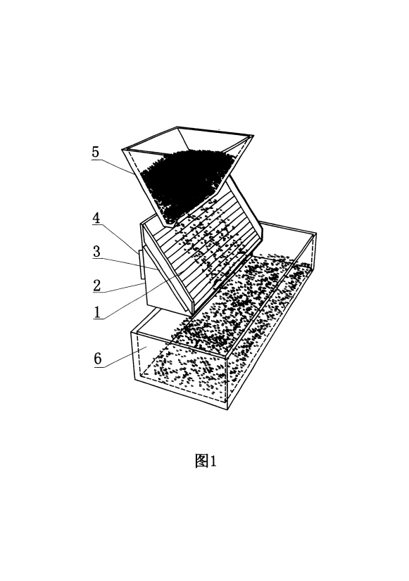 Cultivation method of common head cabbage