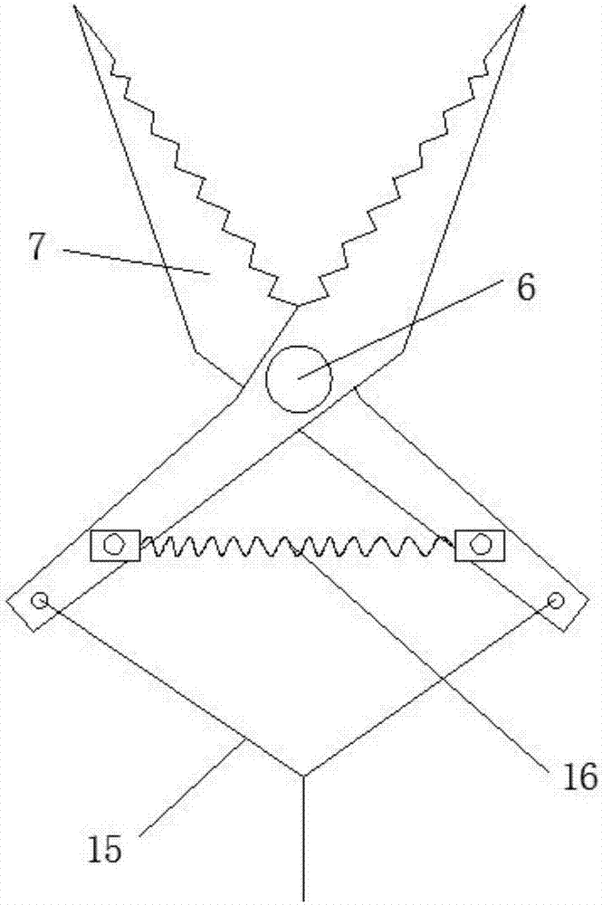 Picking device for longan garden