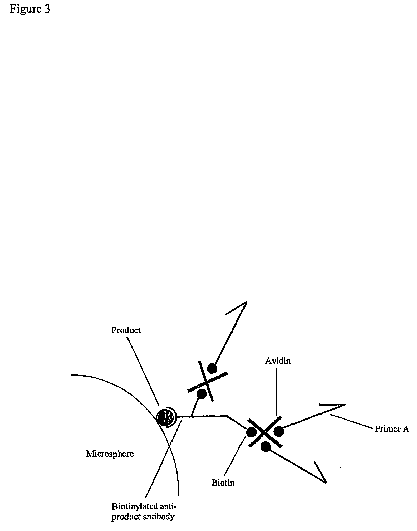 Selective gene amplification