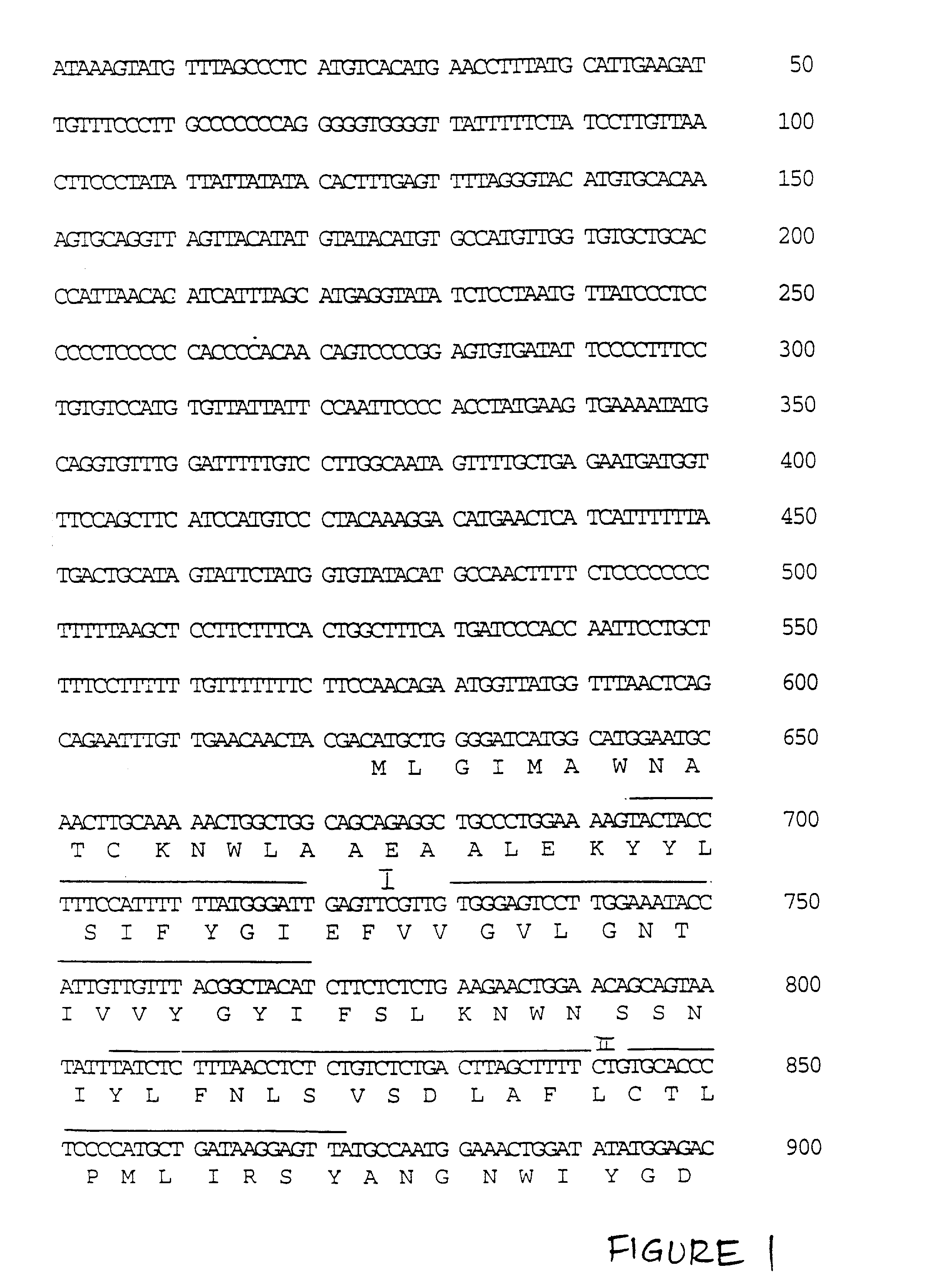 P2u2 receptor antibodies