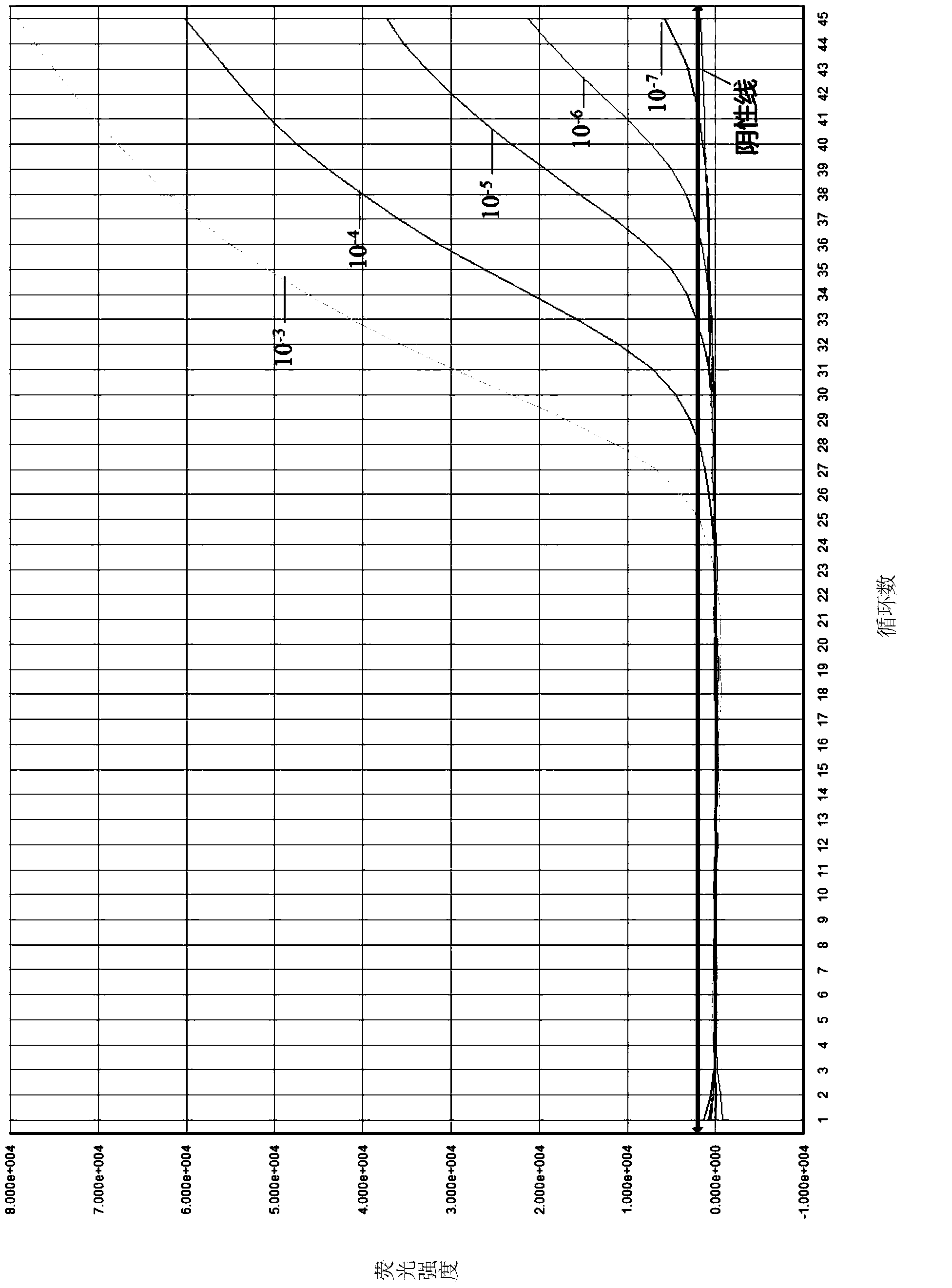 Primers and probe for detecting corruption saccharomycete nucleotide fragments, detection method using the same and kit using the same