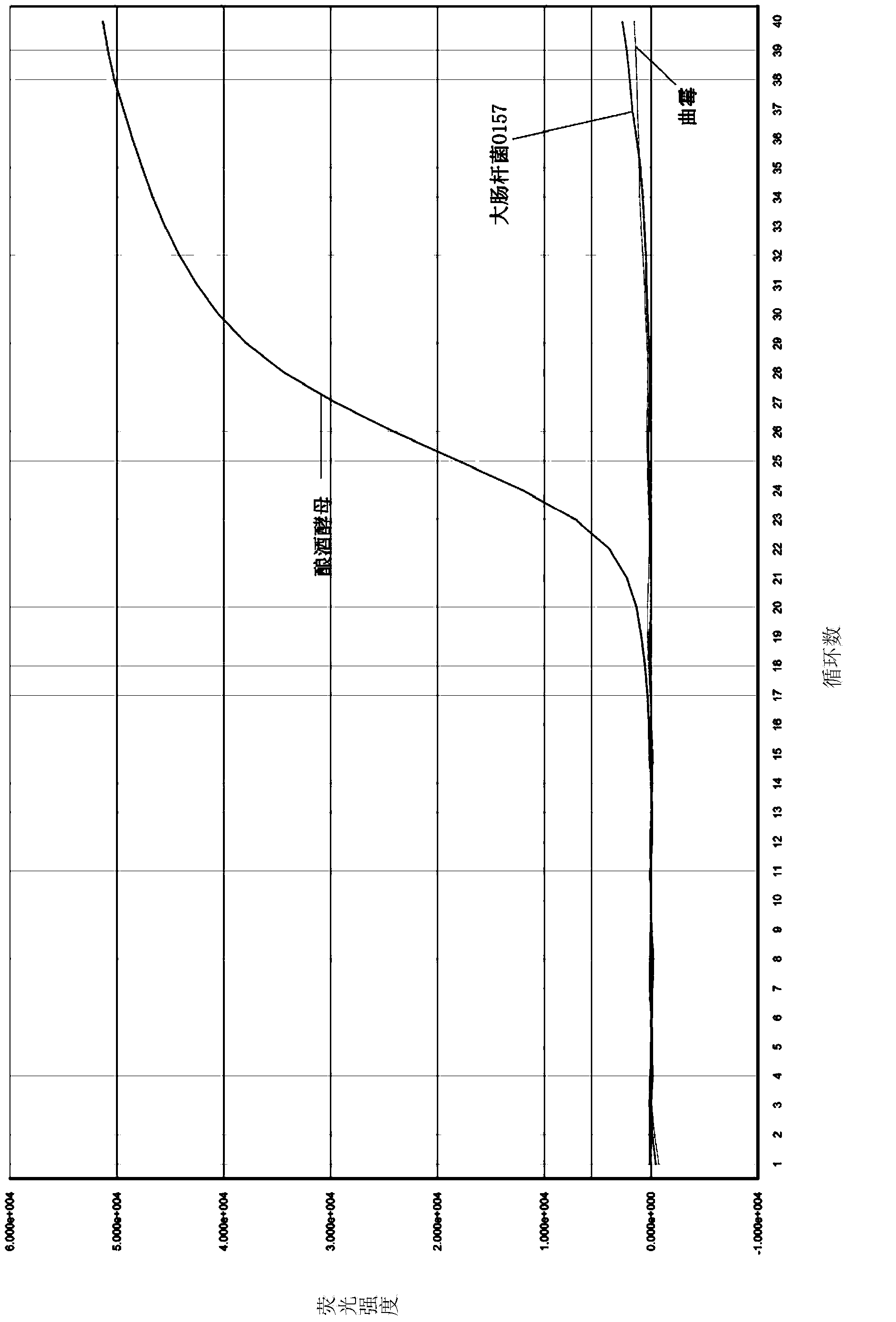 Primers and probe for detecting corruption saccharomycete nucleotide fragments, detection method using the same and kit using the same