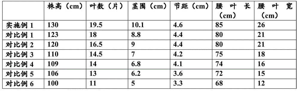 Special slow release synergistic fertilizer for tobacco and preparing method of special slow release synergistic fertilizer