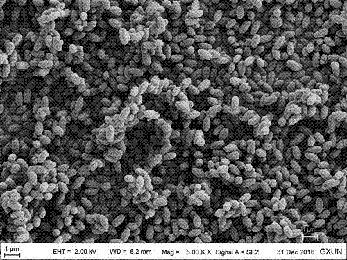 A method for preparing nanometer ellipsoidal calcium carbonate particles