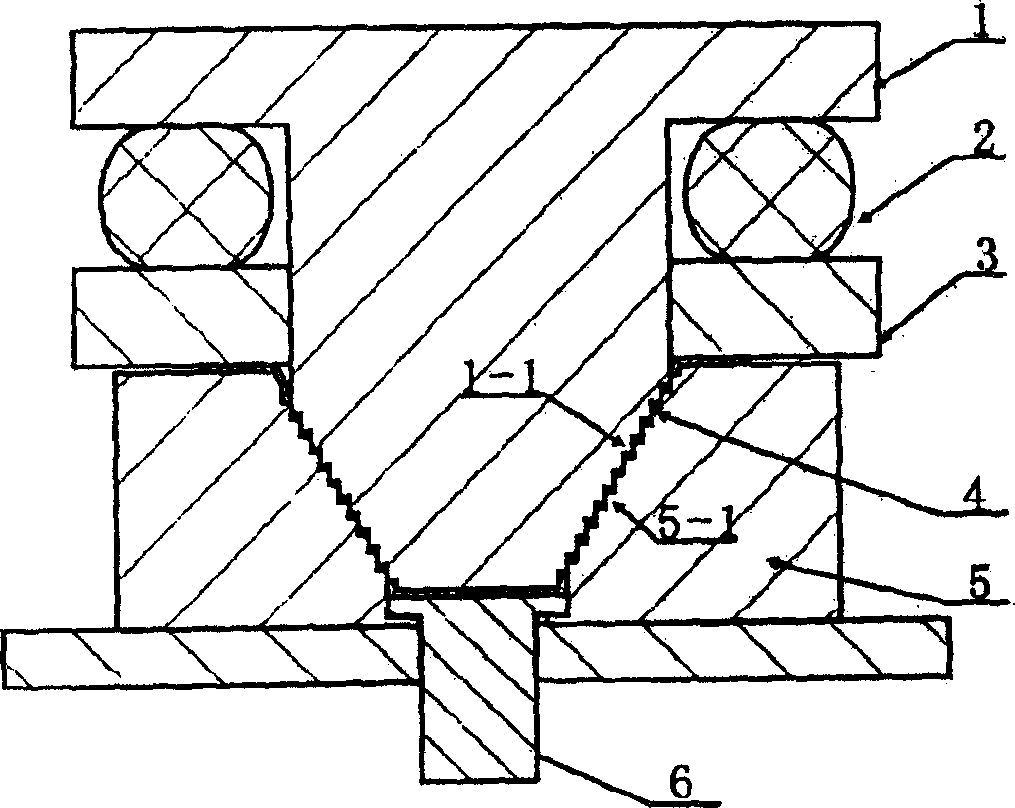 Screw electromagnetic coil disk and its producing method