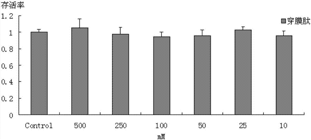 Novel cell-permeable peptide capable of mediating drug delivery, and applications thereof