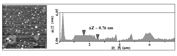 Preparation method of boron nitride nanosheet-silver nanoparticle composite material