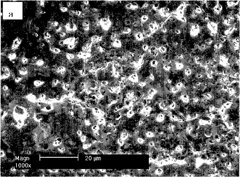 Solution for preparing high corrosion resistance self-sealing ceramic coating on magnesium alloy surface and its application