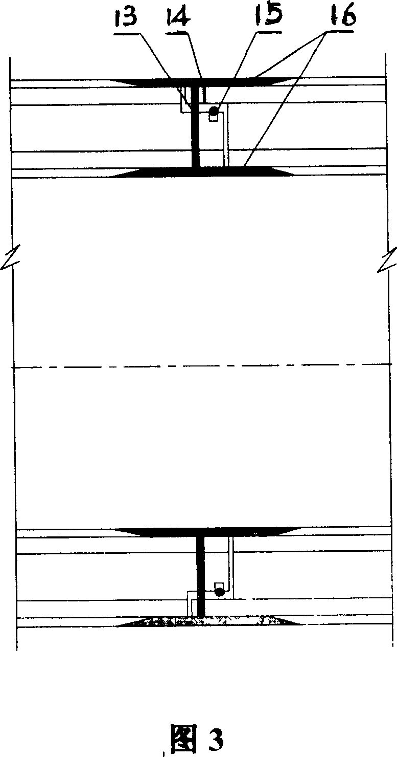 Steel skeleton composite pipe