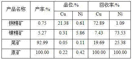 Beneficiation method for copper nickel sulfide ore