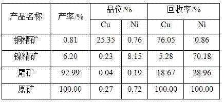 Beneficiation method for copper nickel sulfide ore