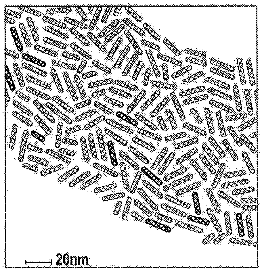 Seeded nanoparticles, their preparation and use