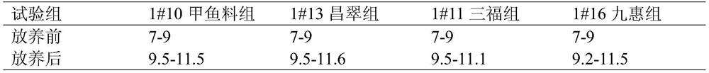 A kind of directional breeding method and application for Yuanbao grade blood parrot